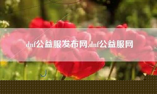 公益服网(公益服网站游戏)